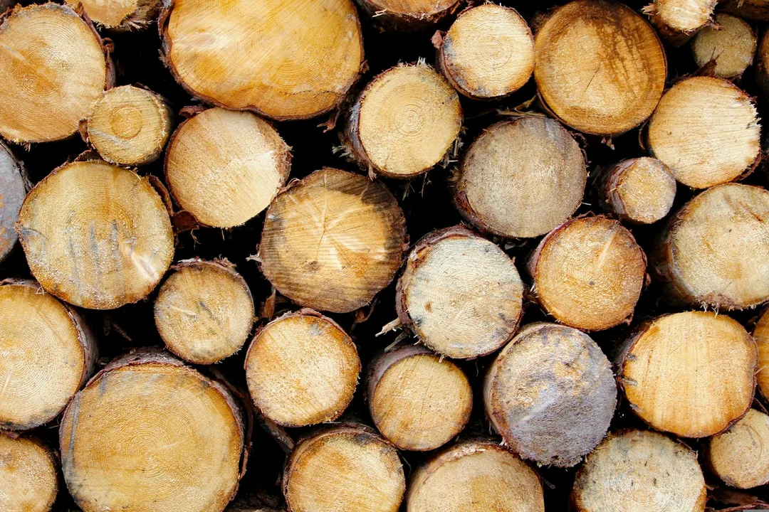 Scriba brings structured logging to Guile Scheme