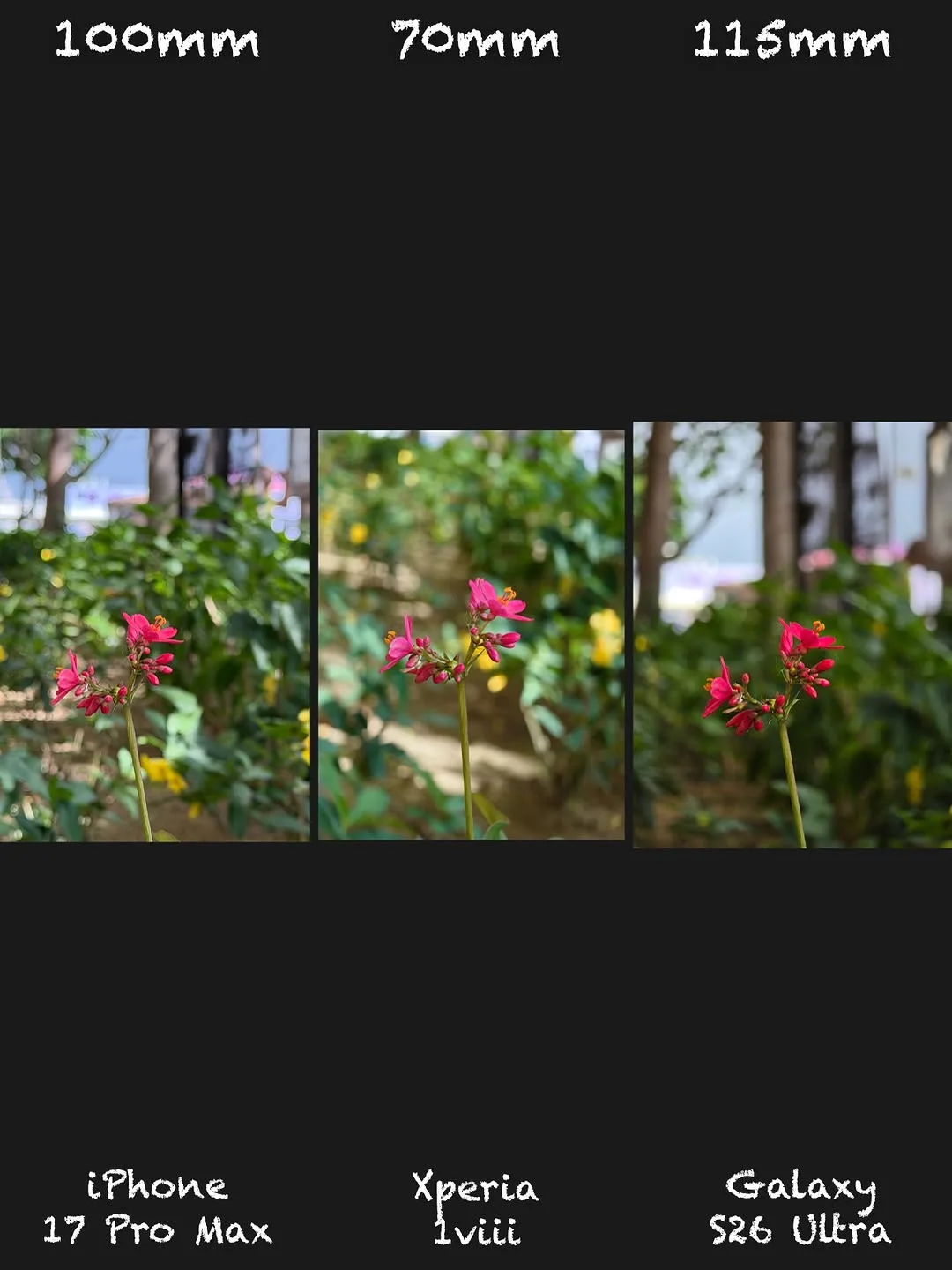 Sony Xperia 1 VIII vs iPhone 17 Pro Max vs Galaxy S26 Ultra: Camera shootout — slide 12 of 15