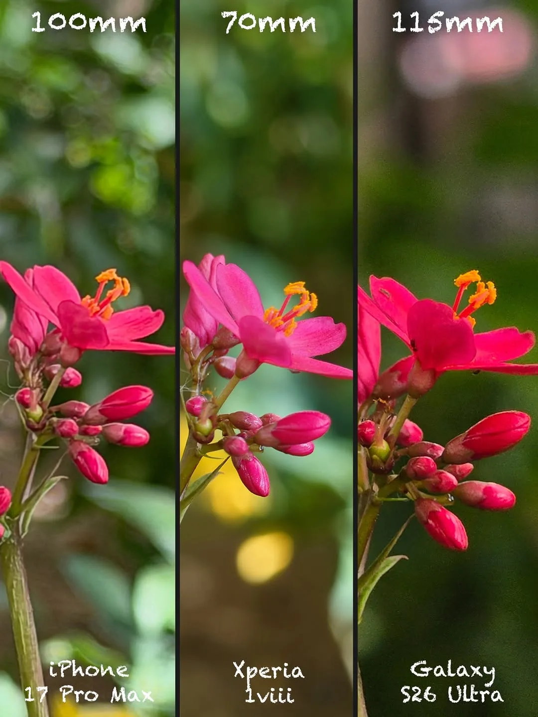 Sony Xperia 1 VIII vs iPhone 17 Pro Max vs Galaxy S26 Ultra: Camera shootout — slide 13 of 15