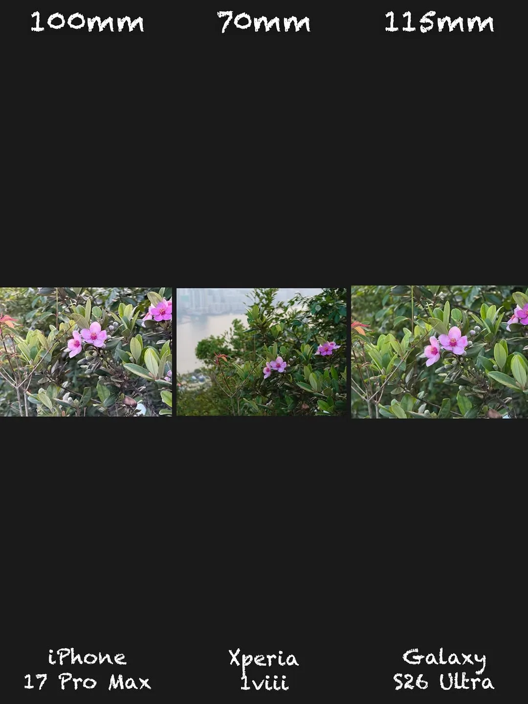 Sony Xperia 1 VIII vs iPhone 17 Pro Max vs Galaxy S26 Ultra: Camera shootout — slide 14 of 15