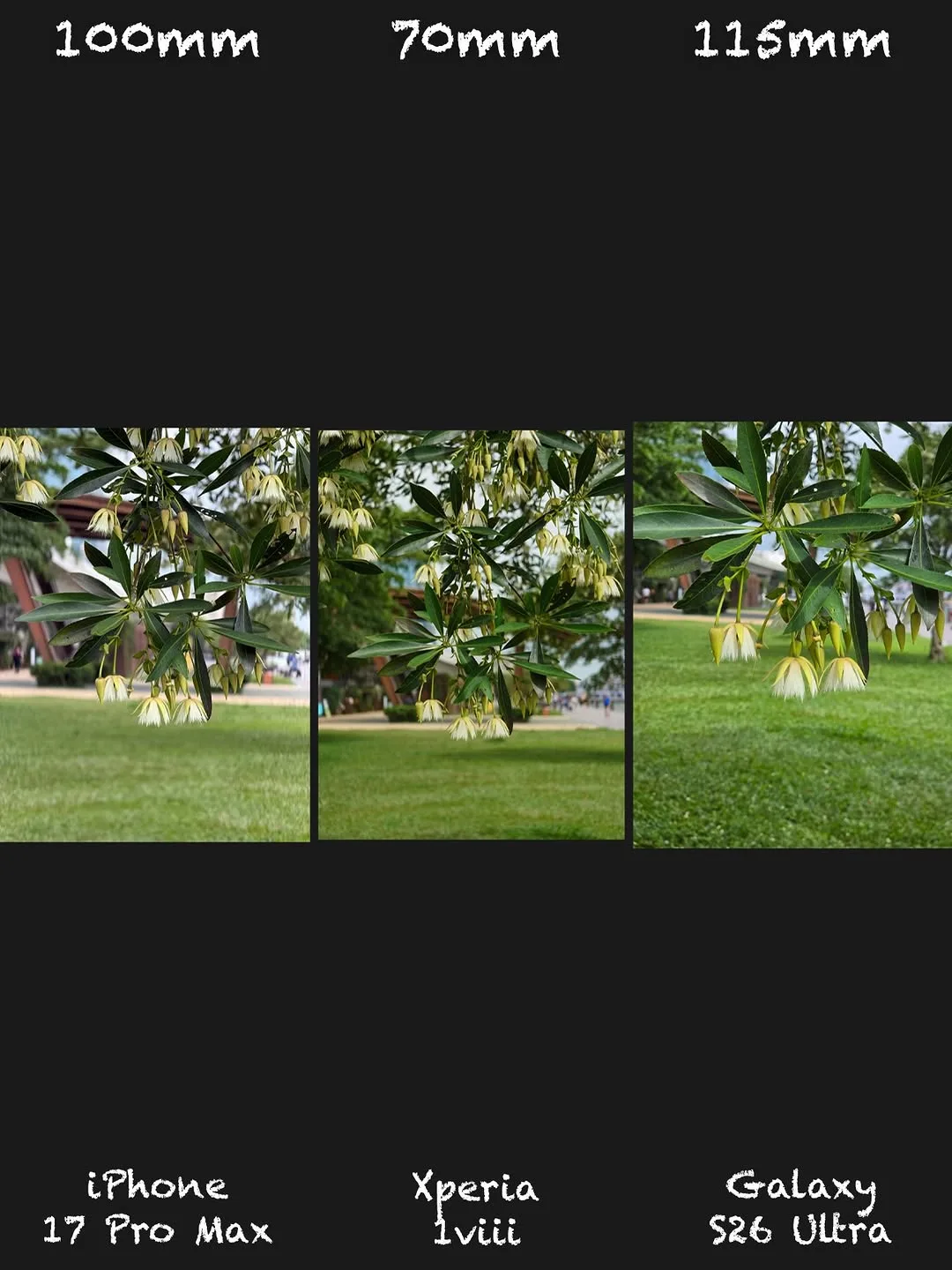 Sony Xperia 1 VIII vs iPhone 17 Pro Max vs Galaxy S26 Ultra: Camera shootout — slide 2 of 15
