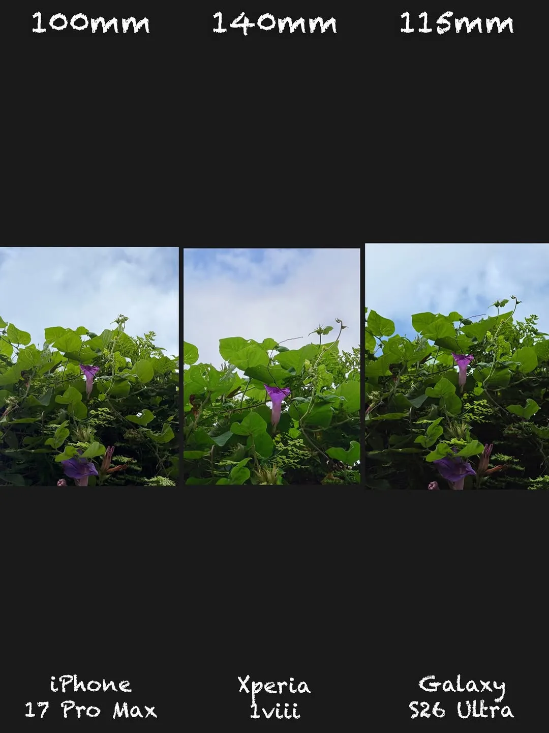 Sony Xperia 1 VIII vs iPhone 17 Pro Max vs Galaxy S26 Ultra: Camera shootout — slide 4 of 15
