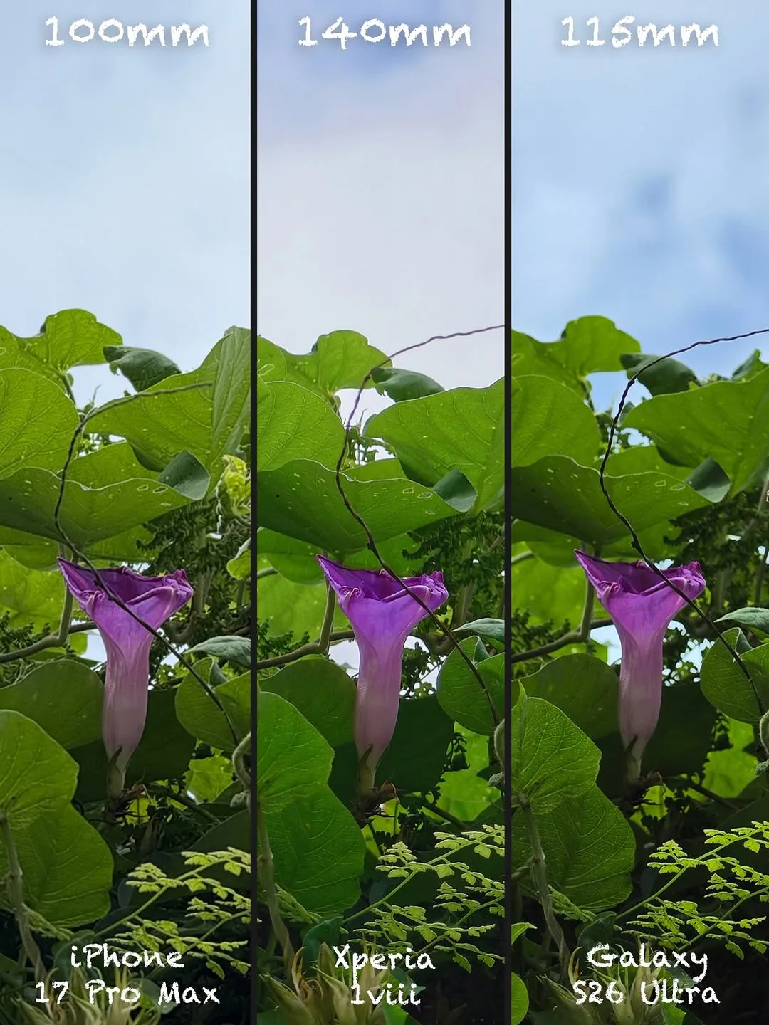 Sony Xperia 1 VIII vs iPhone 17 Pro Max vs Galaxy S26 Ultra: Camera shootout — slide 5 of 15