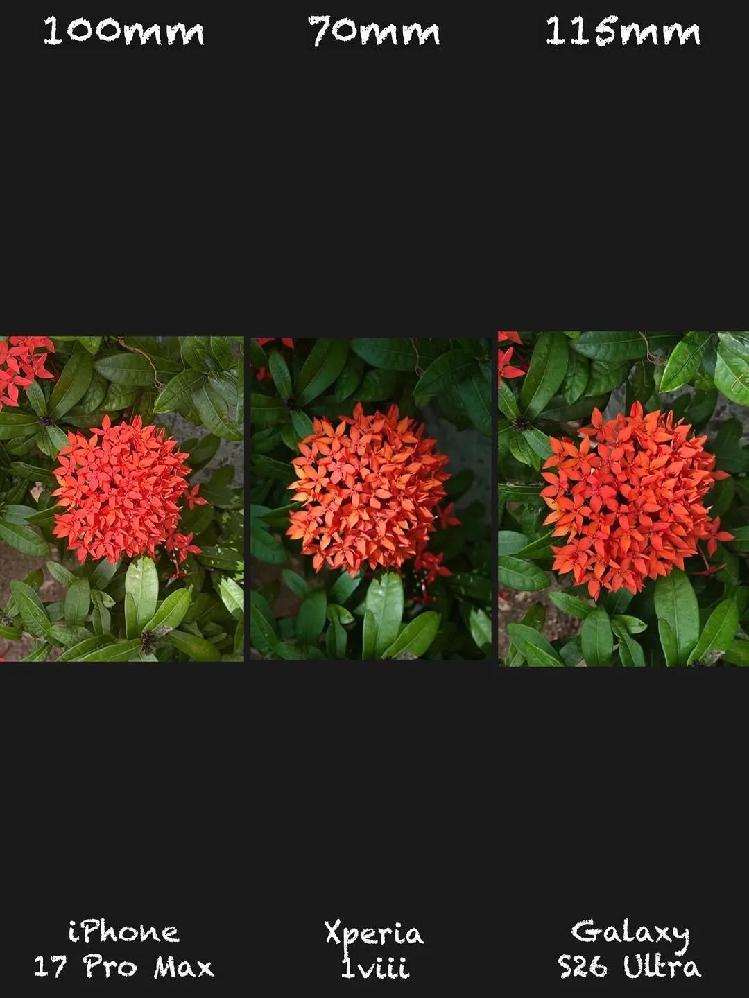Sony Xperia 1 VIII vs iPhone 17 Pro Max vs Galaxy S26 Ultra: Camera shootout — slide 6 of 15