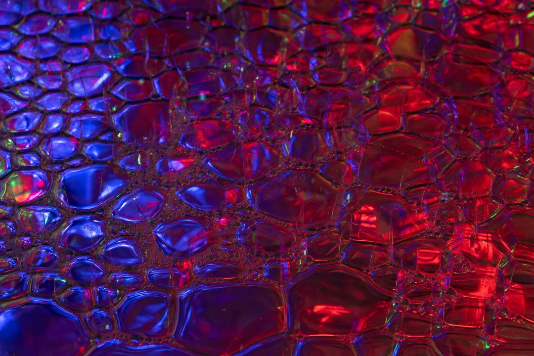 Synthetic cell built from scratch grows and divides