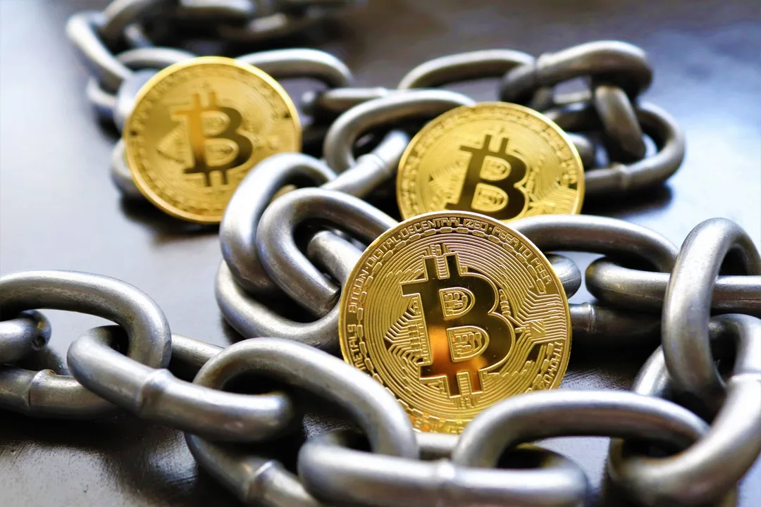 Codeberg bans cryptocurrency projects on its platform